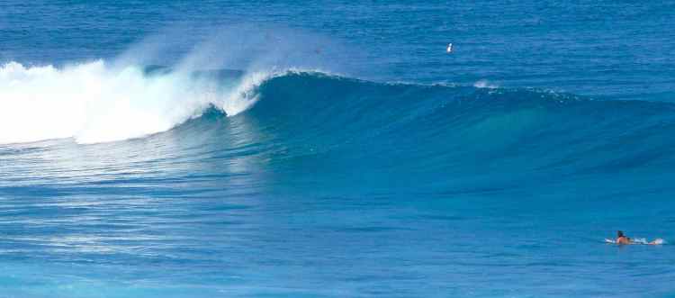 Surfing - Maui - Hawaii