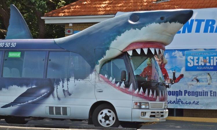 The Kelly Taltons Shark bus - Auckland